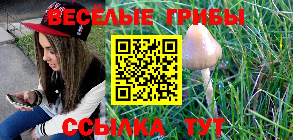 Галлюциногенные грибы MAGIC MUSHROOMS  Вход с VPN  Саров  Псилоцибиновые грибы Magic Shrooms 